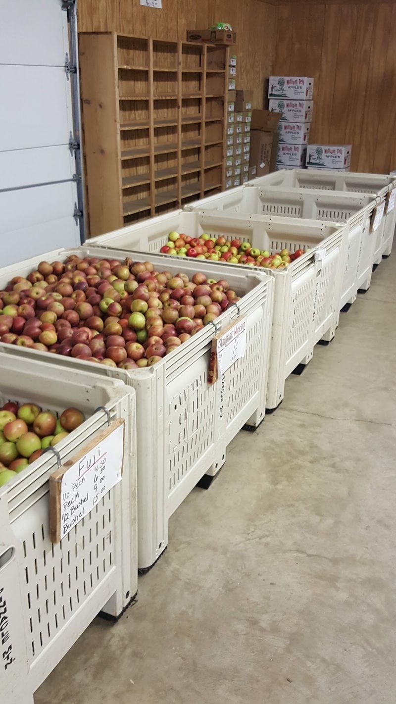 Honeycrisp And Gala Arrive Early While Fuji And Other Favorites Follow Later