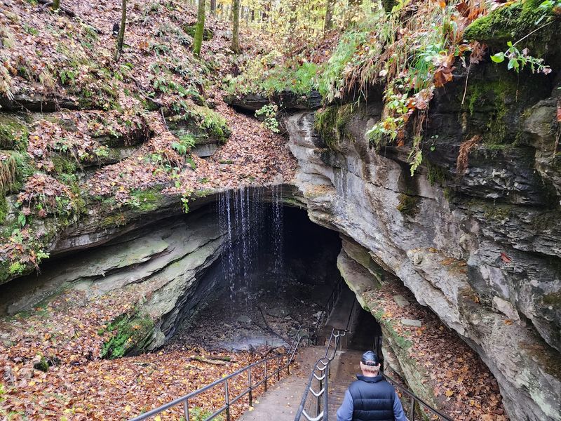 Scientists Keep Finding Ancient Sharks Inside Kentucky's Most Famous Cave - Decor Hint Why A Dark Cave Beats An Open Cliff For Fossils