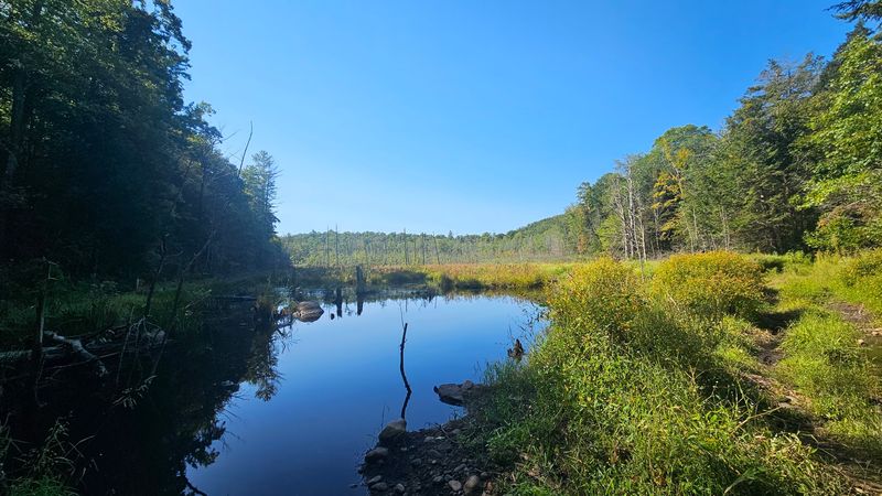 River Views Without The Big Crowds