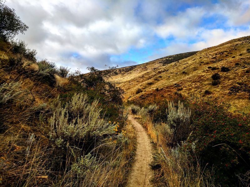 Dry Creek Trail, Boise Foothills