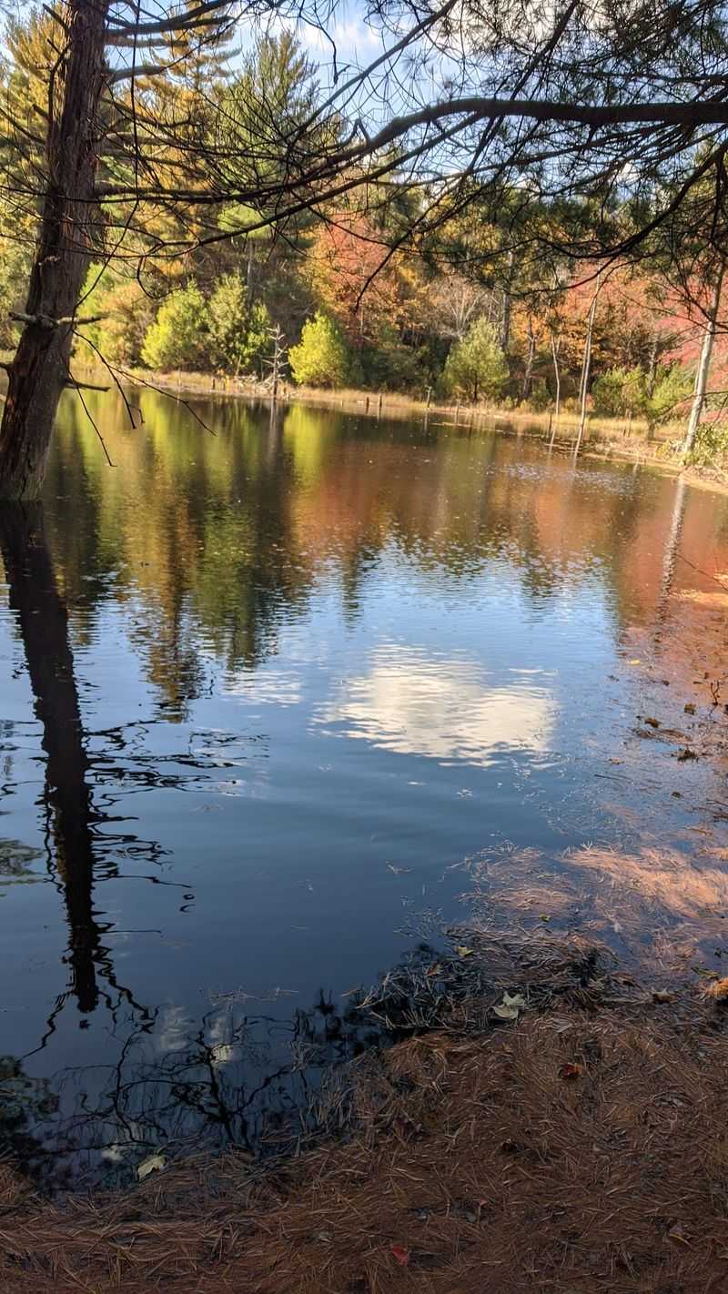 What Comes Next For This Quiet Water
