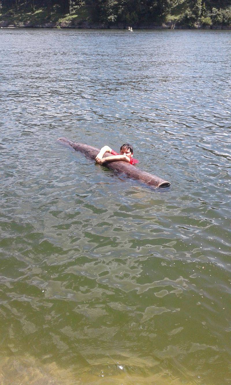 Most People Don't Know Kentucky Has Its Own Loch Ness Story And The Locals Named It Herry - Decor Hint The Herrington Lake