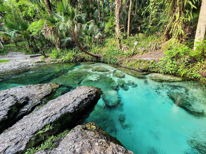 The Natural Spring That Starts It All