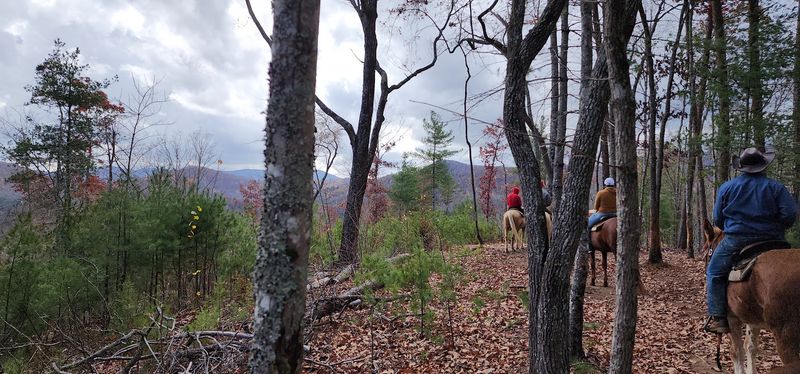 The Two-Hour Blue Ridge Grand Expedition