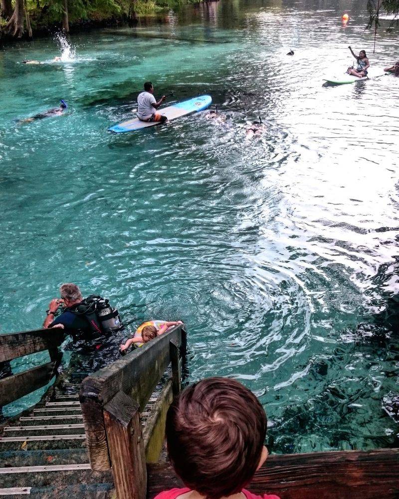 Ginnie Springs And Its Famously Clear Water