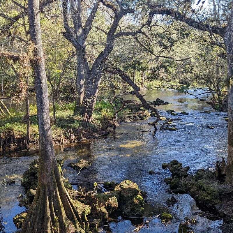 Hillsborough River State Park, Thonotosassa