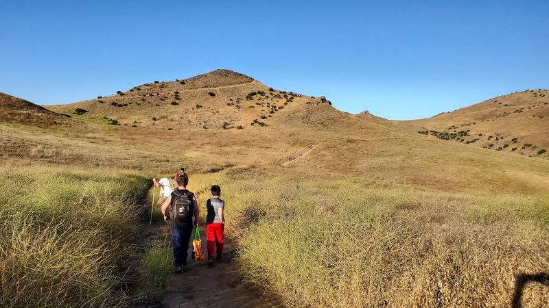 A Rattlesnake Encounter Is A Reason To Give The Animal Plenty Of Space