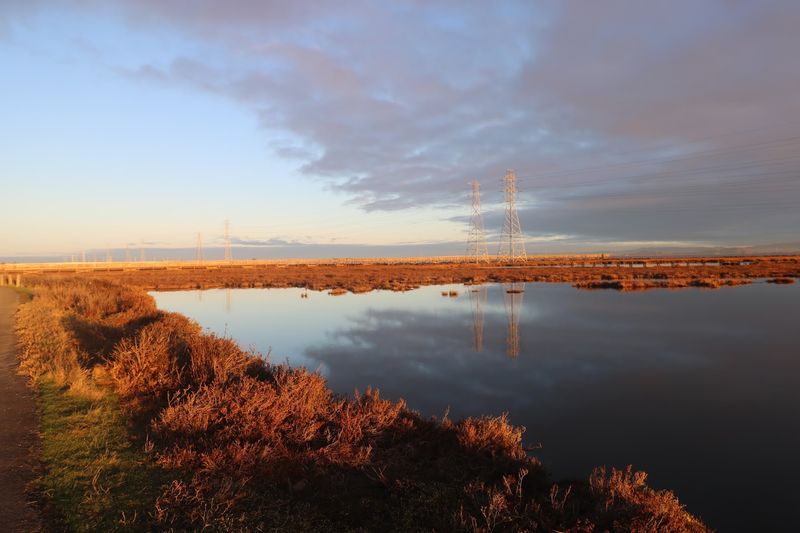 Wild Marshland That Feels Far From Silicon Valley