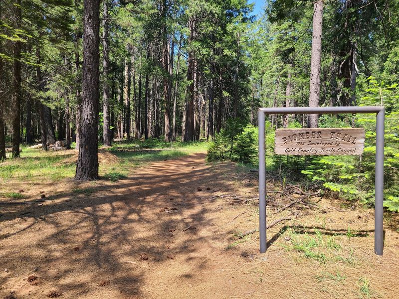 This Historic California Gold Rush Town Is Surrounded By Miles Of Wild Mountain Biking Trails - Decor Hint Pioneer Trail Can Keep You Riding For More Than 20 Miles