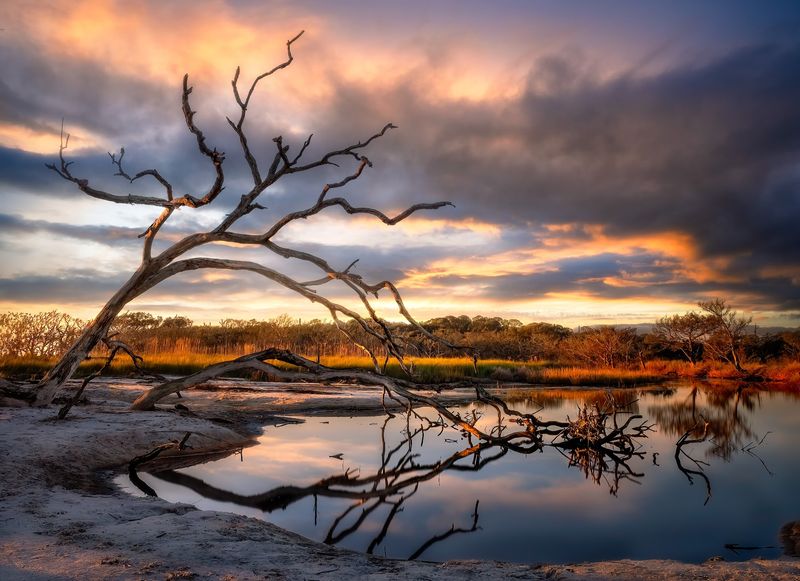 Driftwood Beach Still Earns Every Compliment