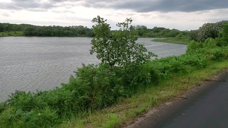 Birdwatching Stops At Lake Christina And Pelican Lake