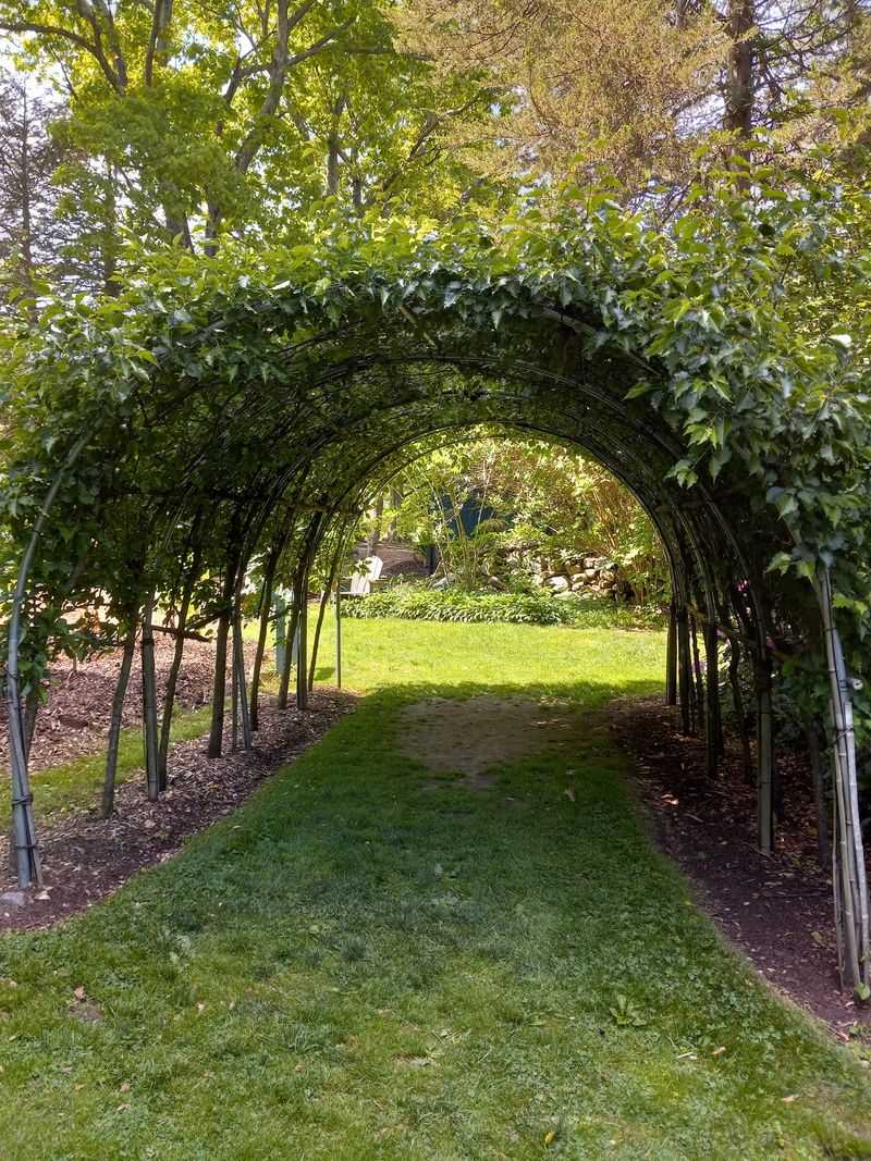 Francis Bartlett Began Growing His Collection In 1913