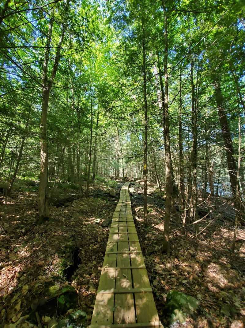 Bigelow Hollow And Breakneck Pond Trails, Union