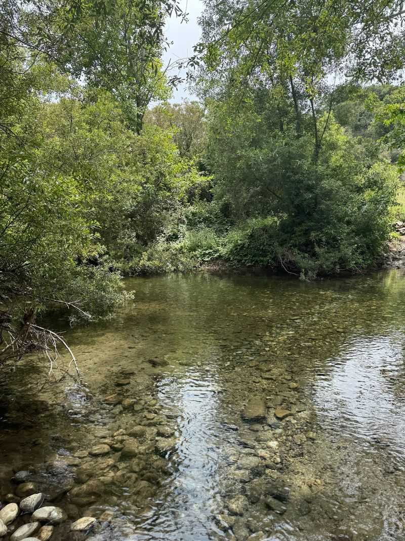 This Easy 2-Mile California Trail Leads Straight To The Ocean And September Is The Perfect Time To Go - Decor Hint The Big Sur River Sets The Tone Early