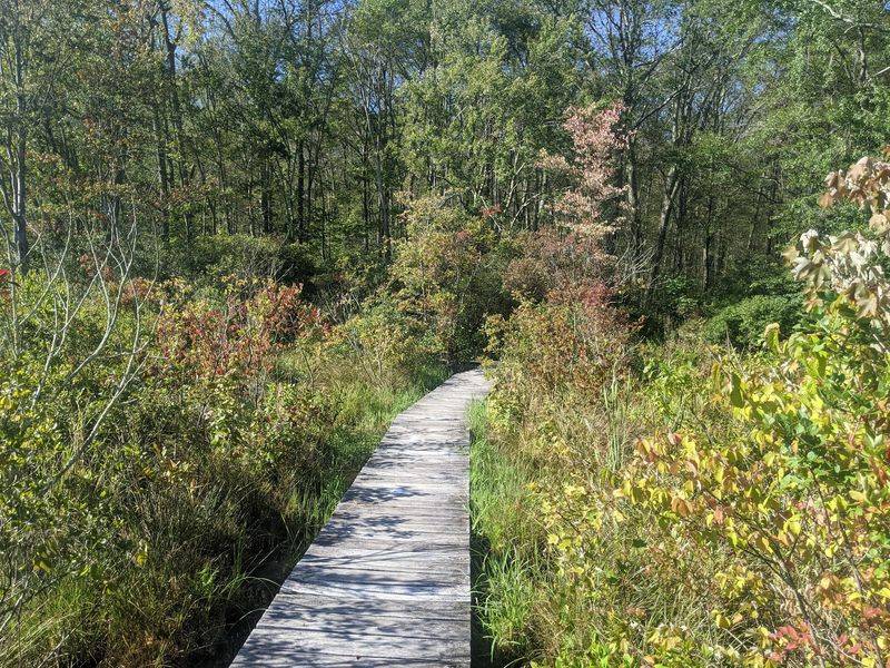 This Connecticut Nonprofit Helps Injured Birds Recover And Lets You Visit For Free - Decor Hint Eleven Miles Of Trails, Sunrise To Sunset