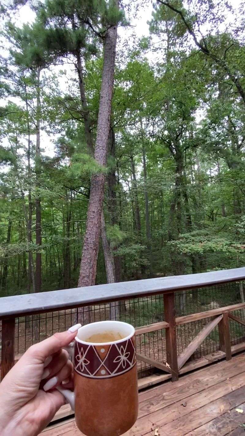 South Toledo Bend State Park, Anacoco