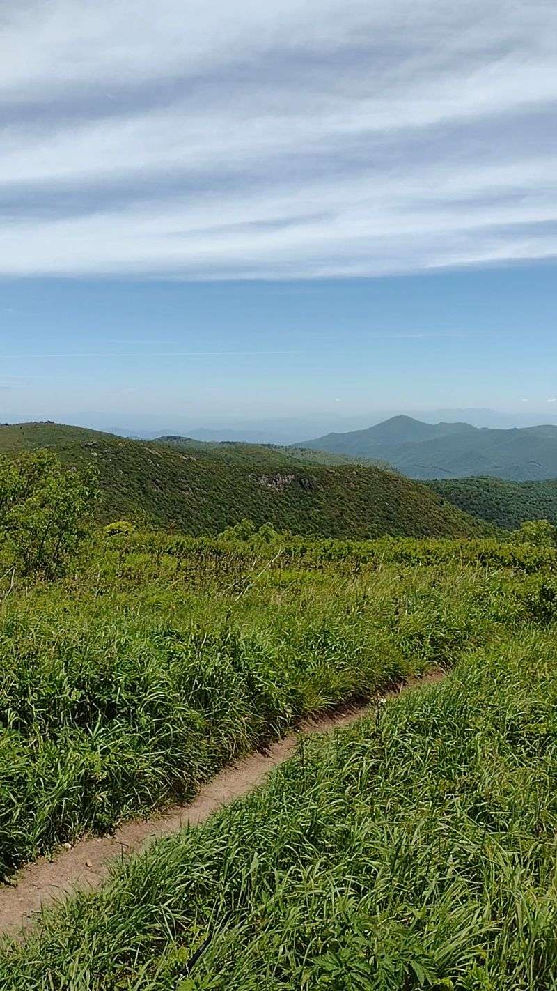 These 9 North Carolina Hiking Trails Locals Skip In August But Return To In September - Decor Hint Black Balsam Knob Trail, Near Canton