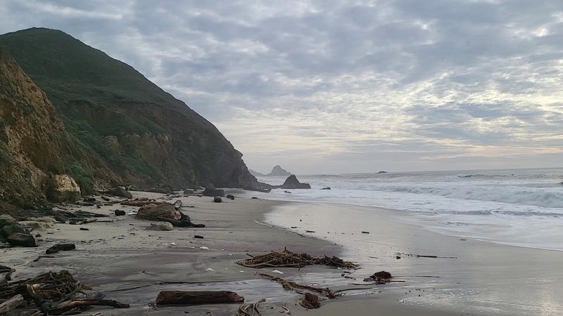 This Easy 2-Mile California Trail Leads Straight To The Ocean And September Is The Perfect Time To Go - Decor Hint A Real Pacific Beach Waits At The End