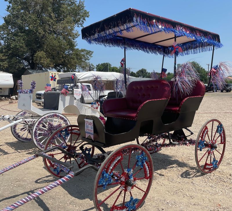 A Surrey, Wagonette, And Elegant Vis-A-Vis Give Riders Different Ways To Travel
