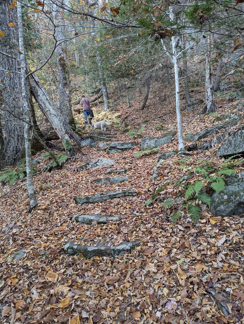 Henry Buck Trail Is A Standout