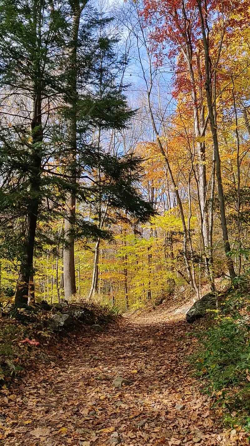 The Huntington Family Helped Preserve This Land
