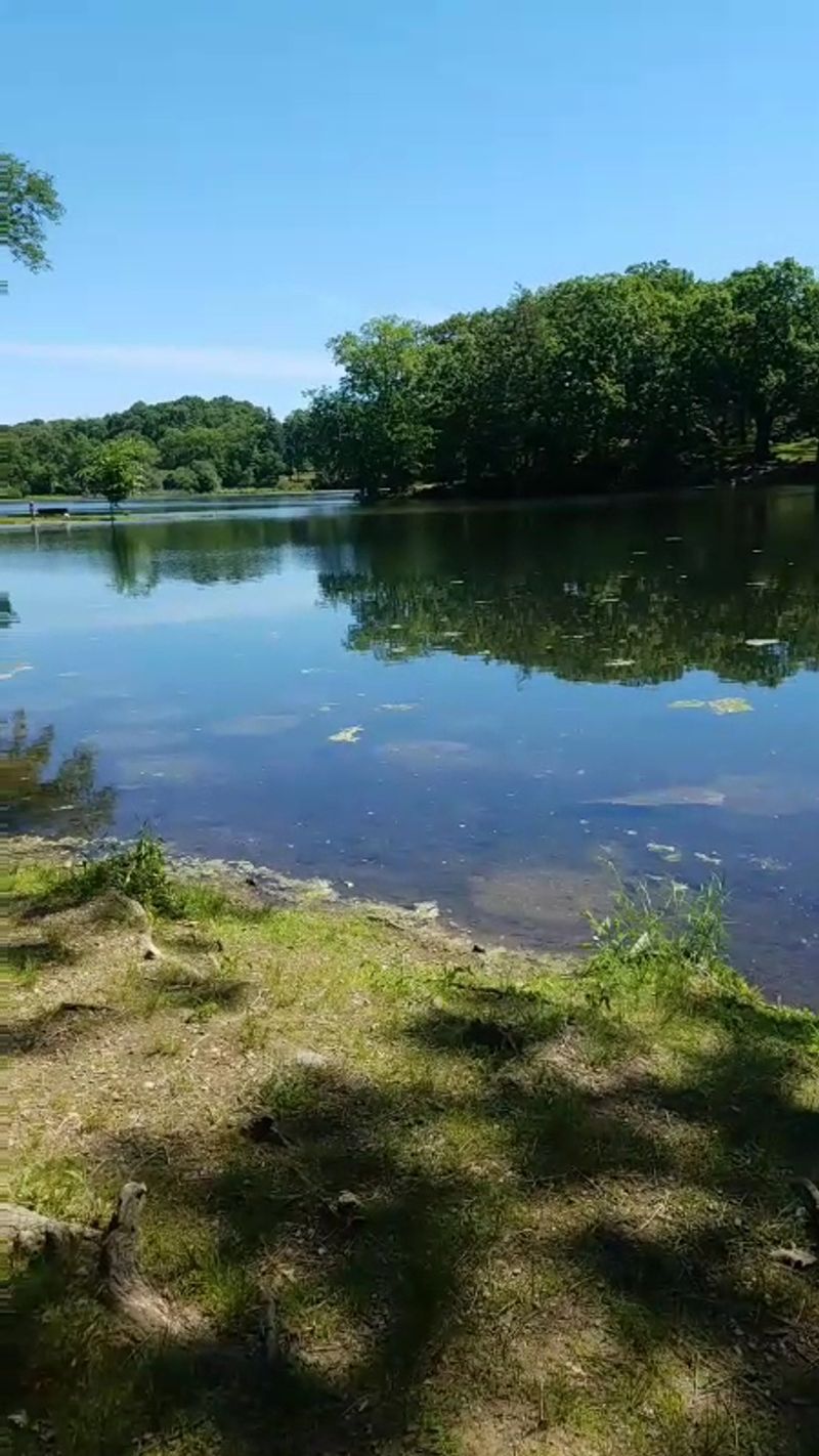 These 10 Rhode Island Lake Beaches Are Too Beautiful To Pass Up - Decor Hint Meshanticut State Park, Cranston
