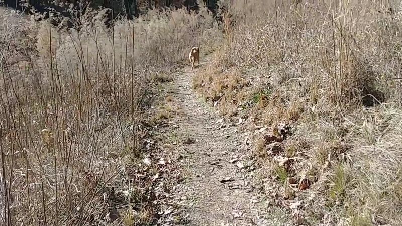 A Surprisingly Social Spot For Families, Dogs, And Solo Hikers