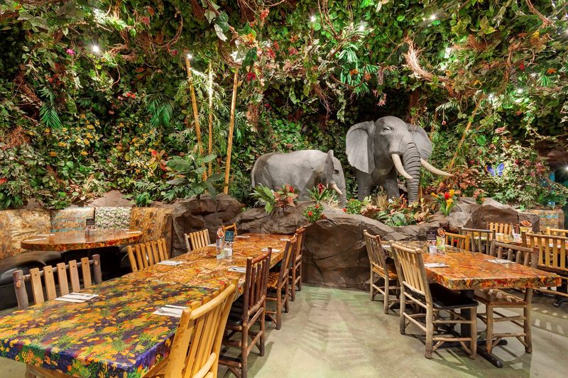 Rainforest Cafe, Tempe