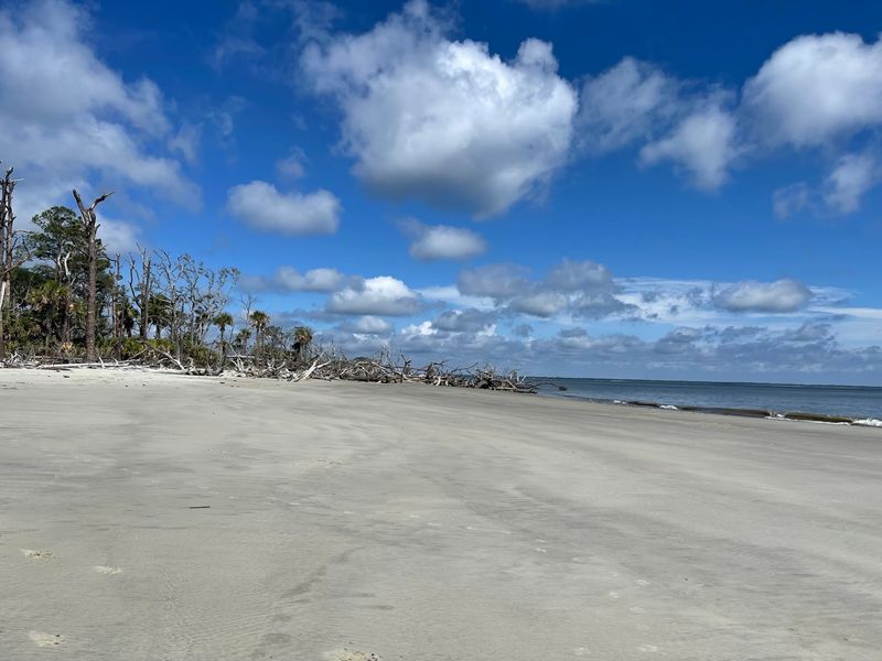Wassaw Island 