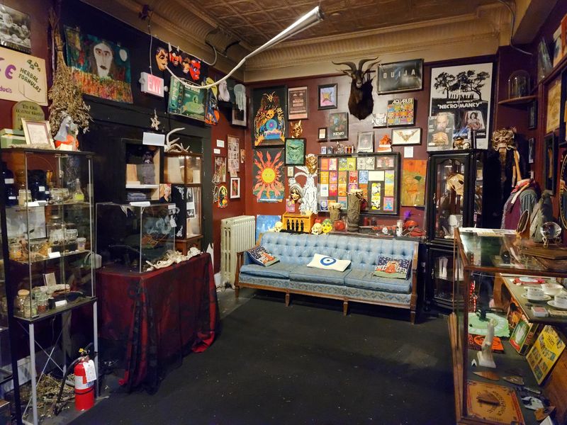 Small Space, Very Big Personality