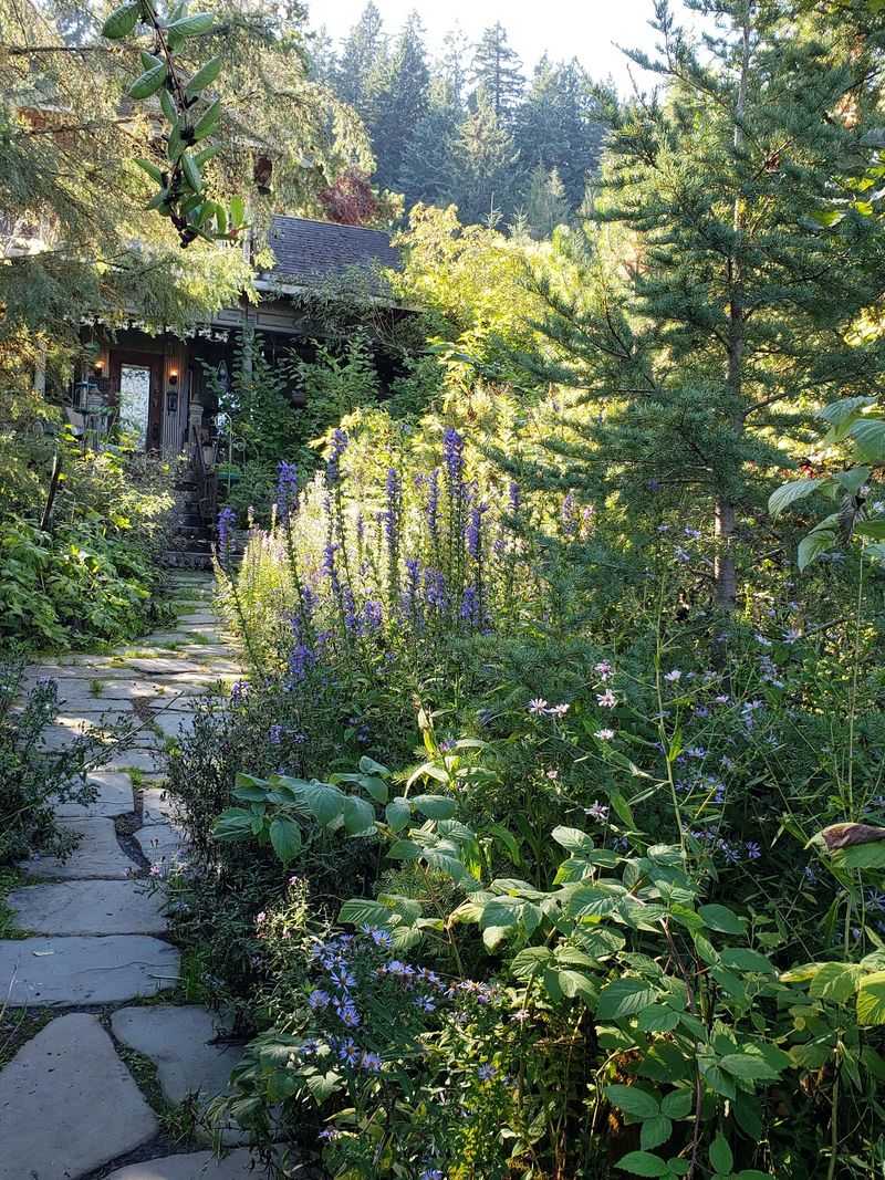 Fields Creek: A Restoration Story