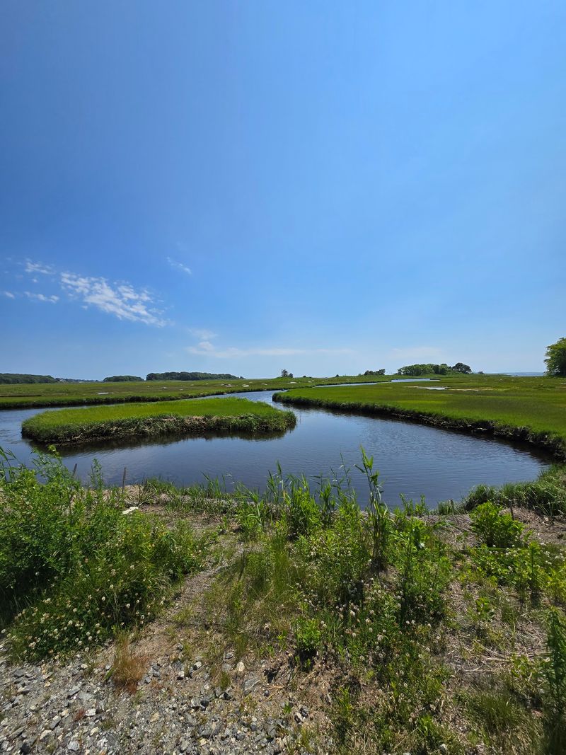 Barn Island Wildlife Management Area, Stonington