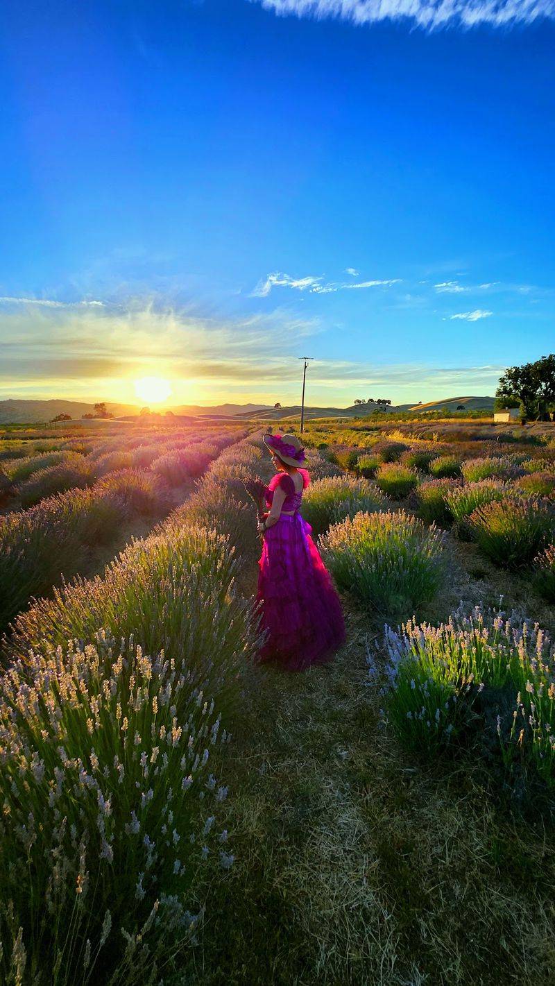 Bring A Camera Because The Landscape Does Most Of The Work