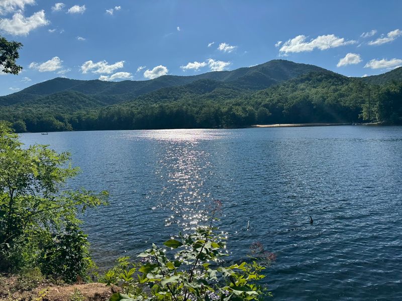 This Virginia State Park Boasts One Of The Most Stunning Lakes You've Likely Never Visited - Decor Hint Trout Fishing That Keeps Anglers Coming Back