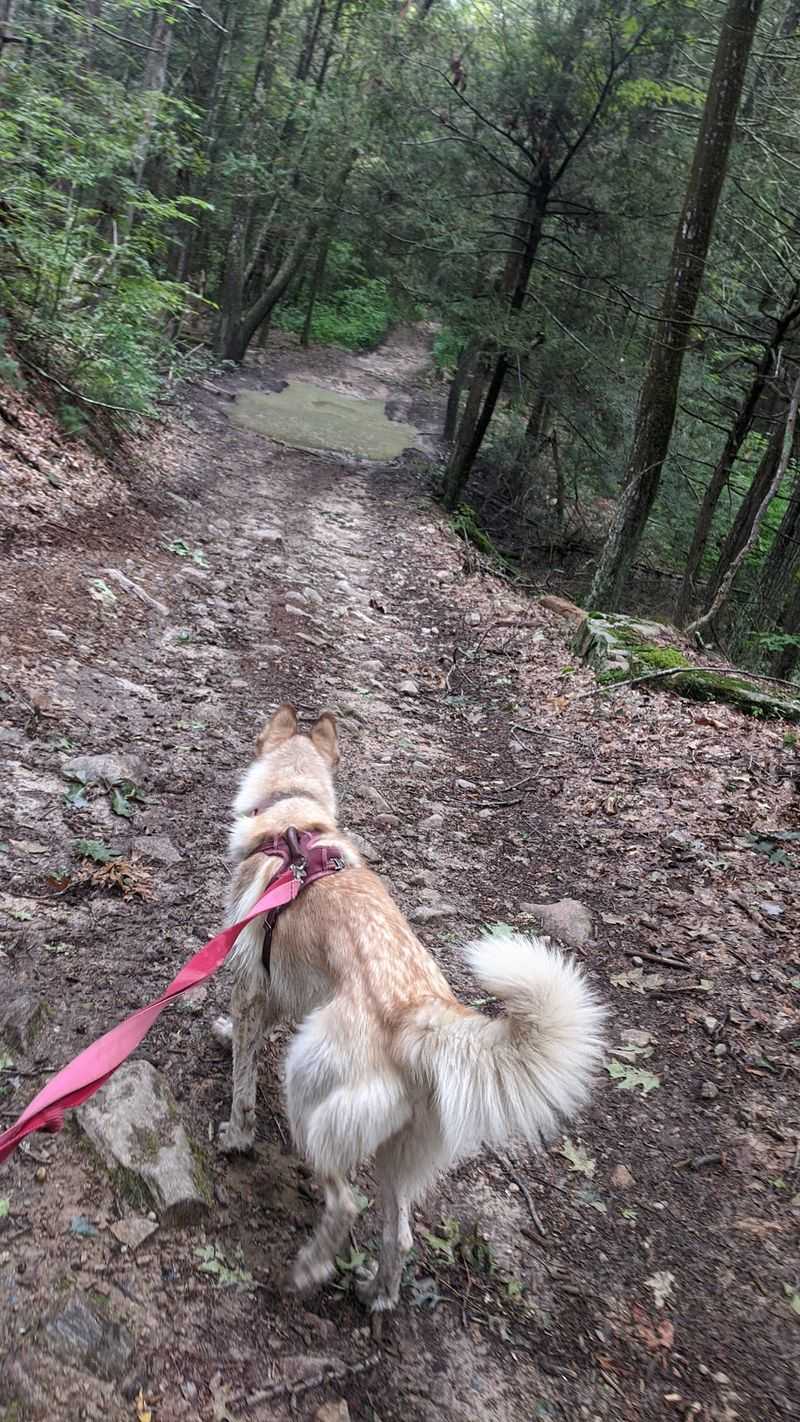 Trails, Signs, And A Little Confusion