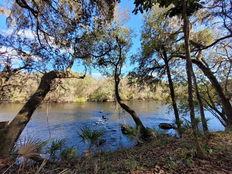 O'Leno State Park And River Rise Preserve
