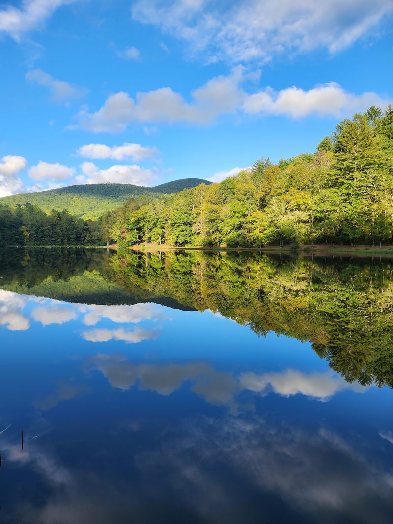 Where Trout And Bass Never Forget A Face