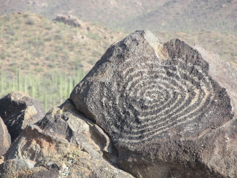 Petrified Forest National Park
