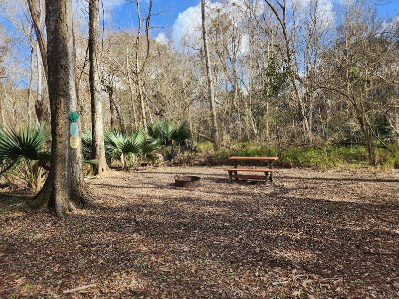 10 Louisiana Day Trips Featuring Swamp Boardwalks And Cajun Food Stops - Decor Hint Lake Fausse Pointe State Park, Saint Martinville