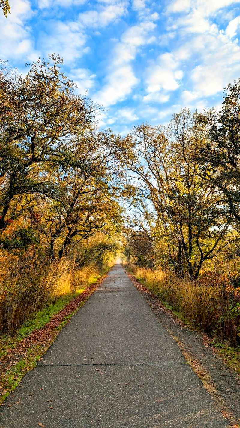 Joe Rodota Trail, Santa Rosa To Sebastopol