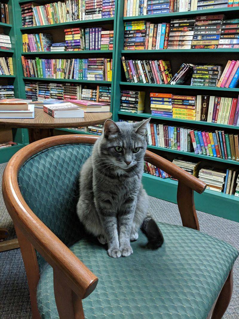 Books Can Be Bought, Sold And Traded