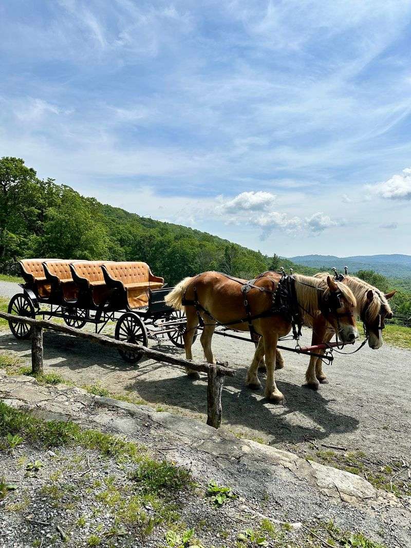 This 2-Hour Carriage Ride Might Be North Carolina’s Most Unexpected Mountain Adventure - Decor Hint Take In Blue Ridge Parkway Views Without Hiking A Single Mile