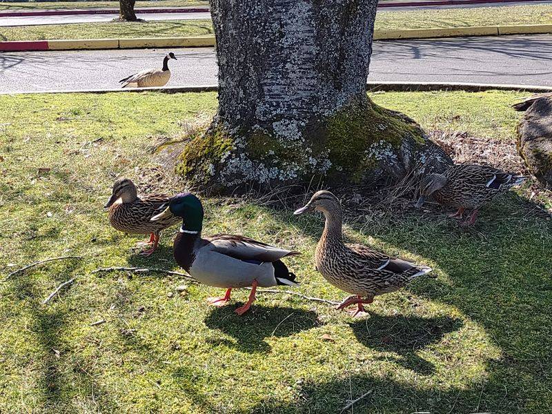 Wildlife And Natural Wonders