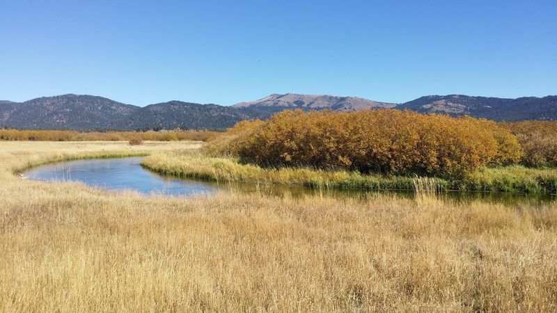 Watch For Elk Pronghorn Moose And Sandhill Cranes Across The Open Basin