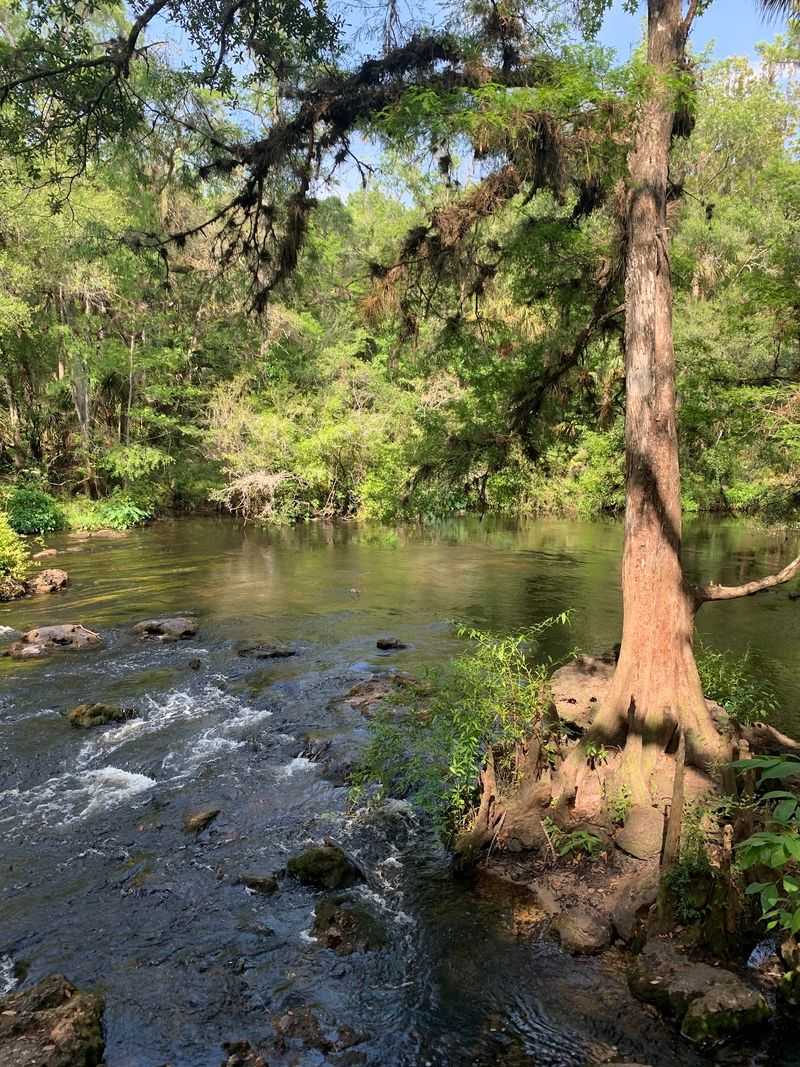 Hillsborough River State Park, Thonotosassa