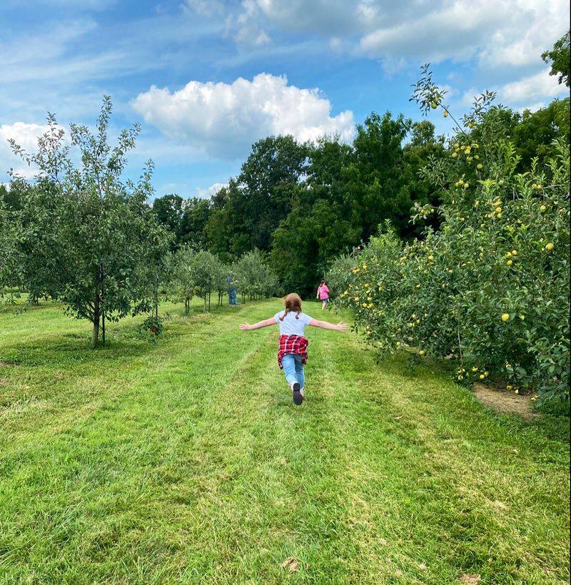 This Beautiful Kentucky Farm Is Quietly Opening Its Apple Orchards Before The Fall Crowds Arrive - Decor Hint How To Plan A Visit Without The Crowds
