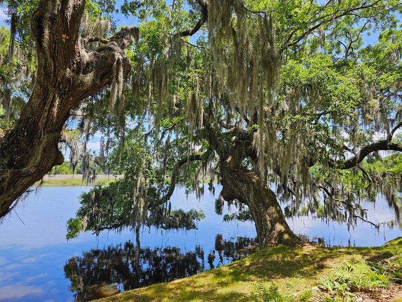 America's Oldest Public Gardens
