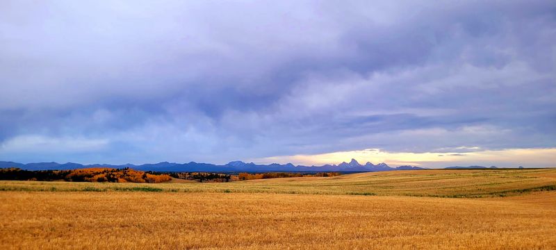 This 30-Mile Idaho Rail Trail Rolls Past Historic Trestles, Open Farmland, And Jaw-Dropping Teton Views - Decor Hint Roll Through Open Farmland With The Tetons Rising In The Distance