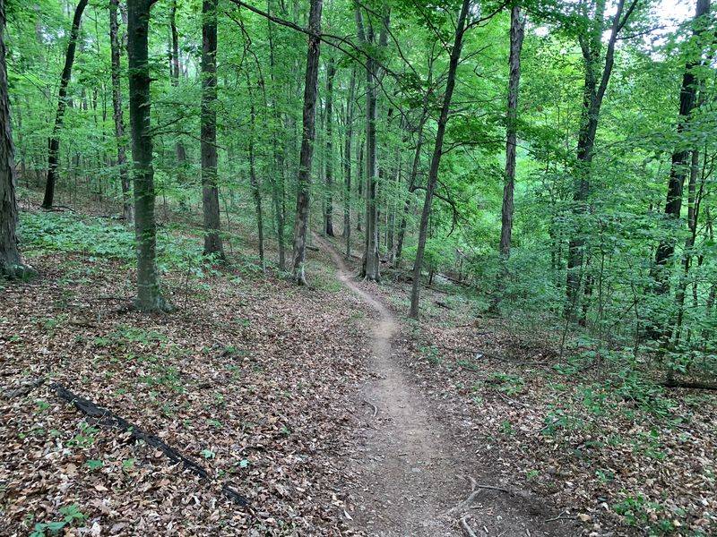 Green River Lake State Park, Campbellsville