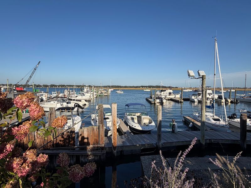 Fresh Seafood Beside Brown's Marina